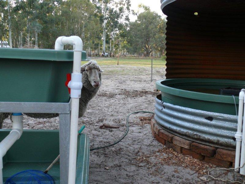 11 Checking out the install - QA.jpg