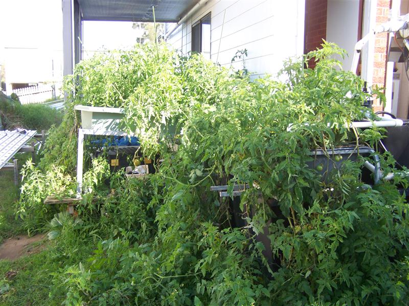 100_6244 (Custom).JPG