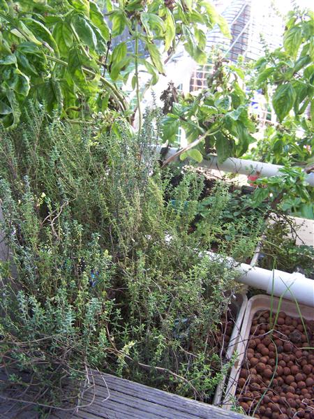 100_6239 (Custom).JPG