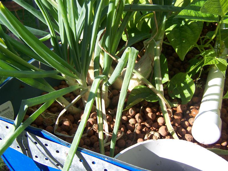 100_6241 (Custom).JPG