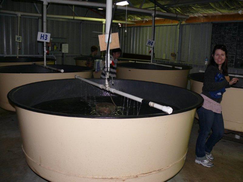 03 There's fish in them tanks.jpg