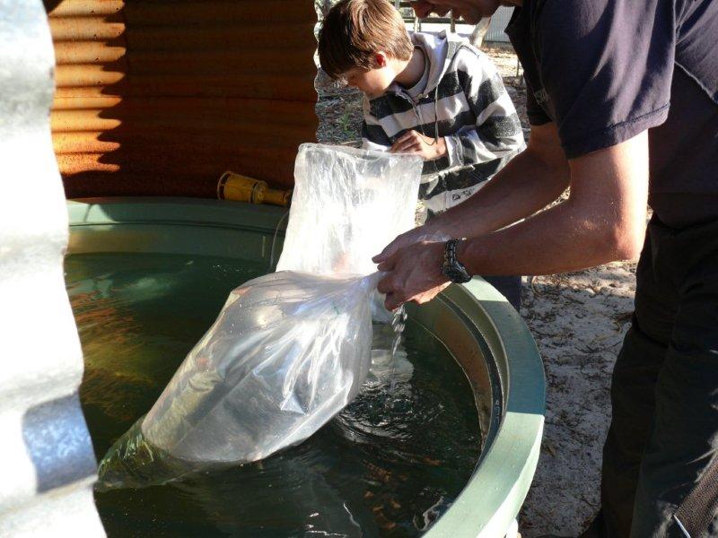 09 Aclimatising to water temp.jpg