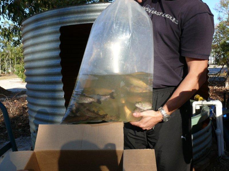 08 All made the trip back OK.jpg