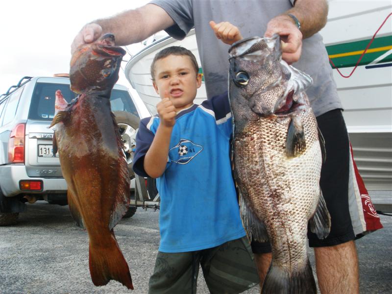 P5072050 (Medium).JPG