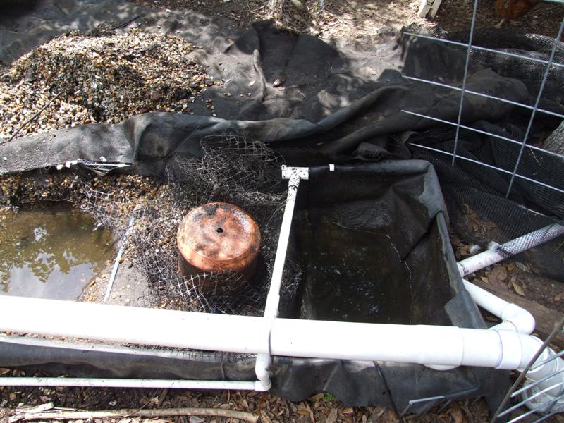 pump pit (Medium).JPG