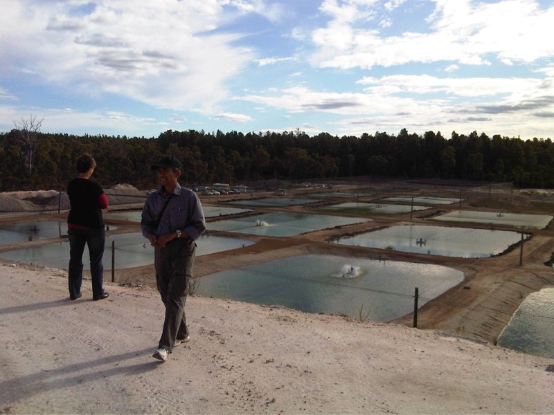 Ngalang Boodja Mine Lake Aquaculture Project-02-web.jpg