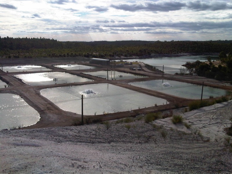 Ngalang Boodja Mine Lake Aquaculture Project-03-web.jpg
