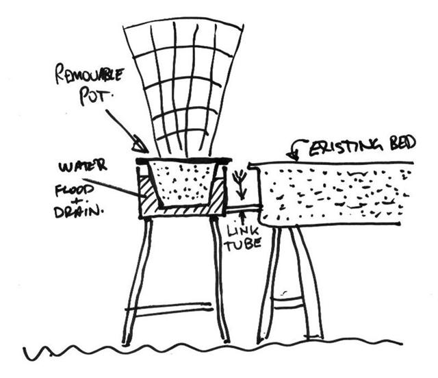 Passion Pot (Medium) (Small).jpg