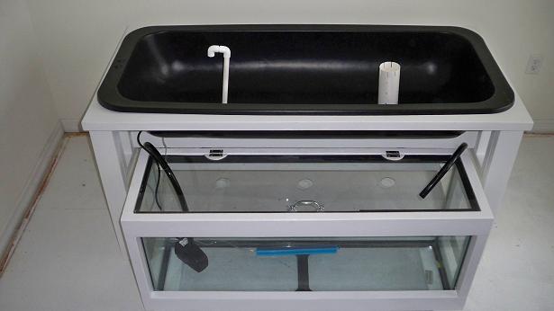 ebay shot 1 resized.jpg