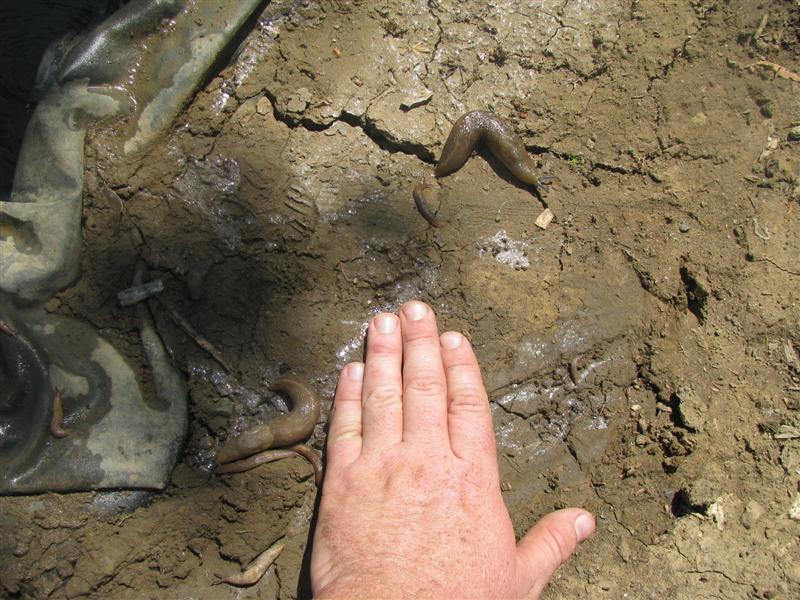 IMG_6197 (Custom).JPG