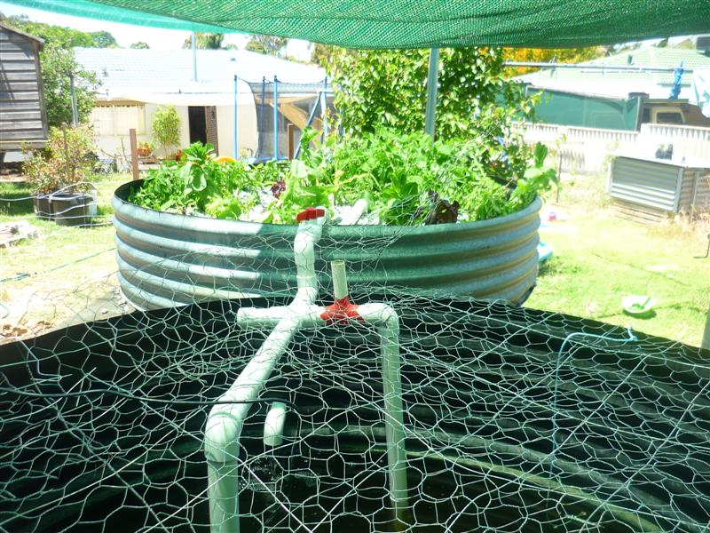 AP 1 new 005 (Medium).jpg