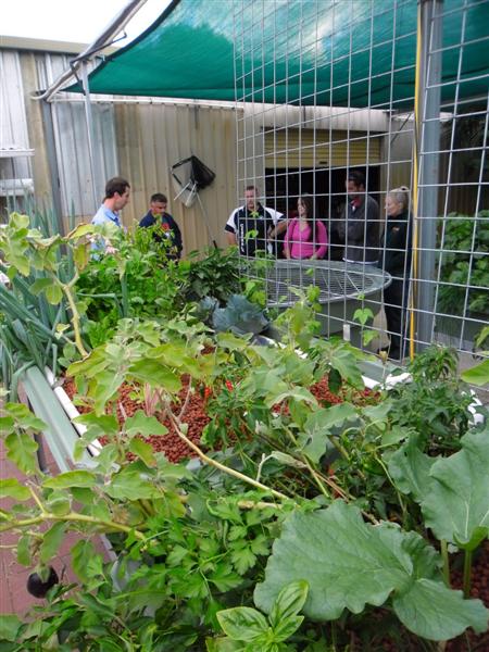 SAM_0049 (Medium).JPG