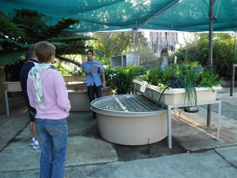 SAM_0050 (Medium).JPG