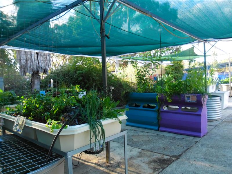 SAM_0053 (Medium).JPG