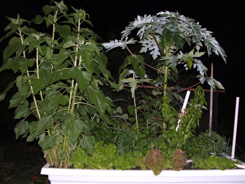 DSCF3851 (Medium).JPG