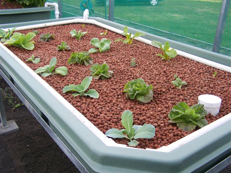 100_6268 (Custom).JPG