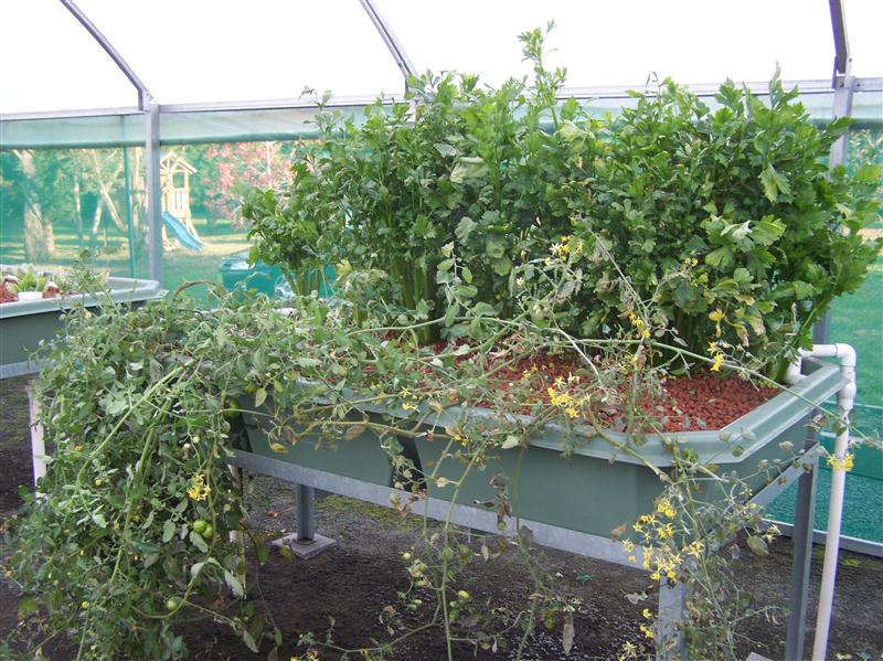 100_6269 (Custom).JPG