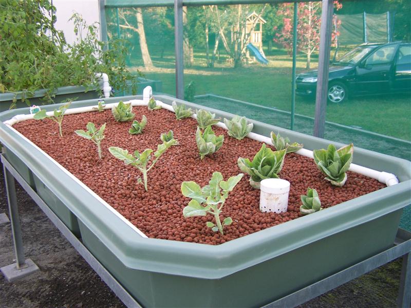 100_6270 (Custom).JPG