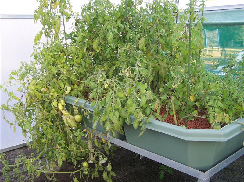 100_6271 (Custom).JPG