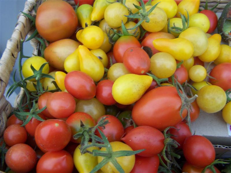 100_6267 (Custom).JPG