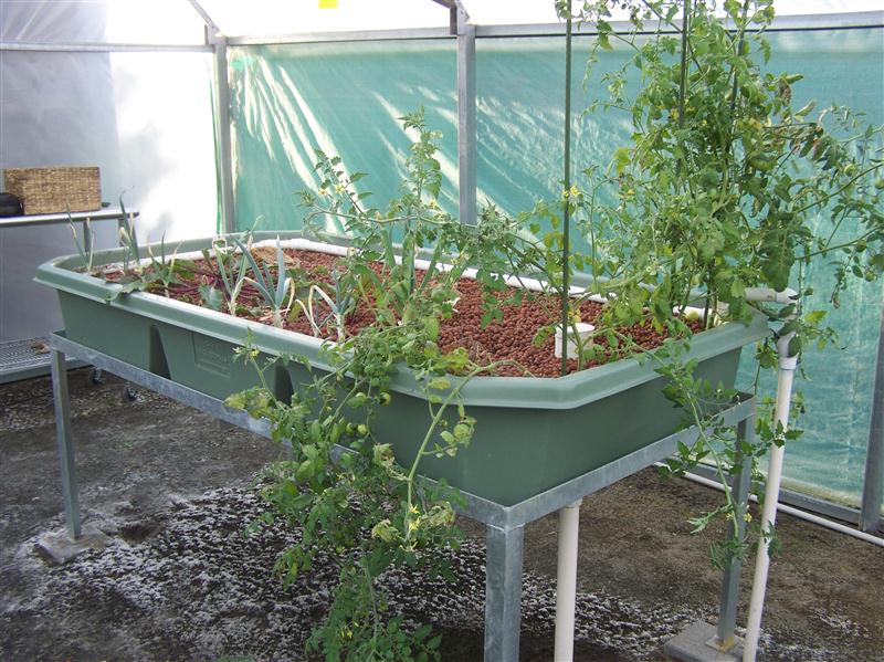 100_6274 (Custom).JPG