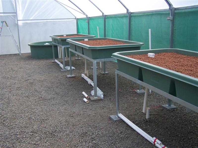 100_6260 (Custom).JPG