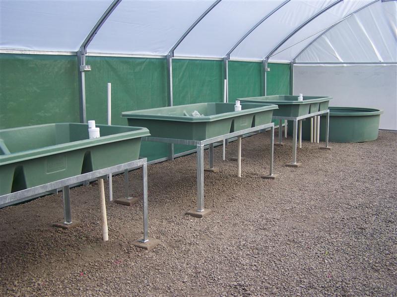 100_6261 (Custom).JPG