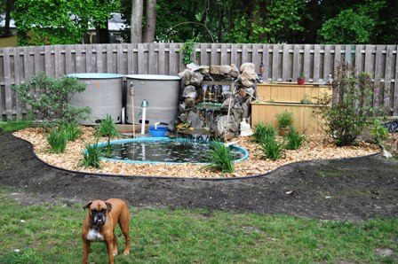 Full pond shot 2.JPG