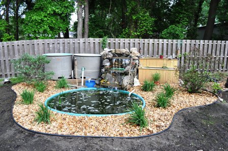 Full pond shot 3.JPG