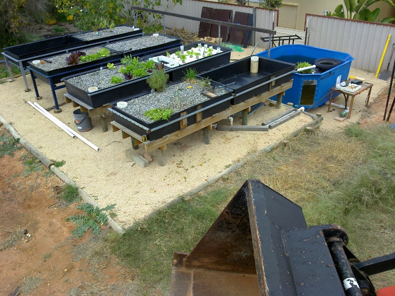 22052011777 (800x600).jpg