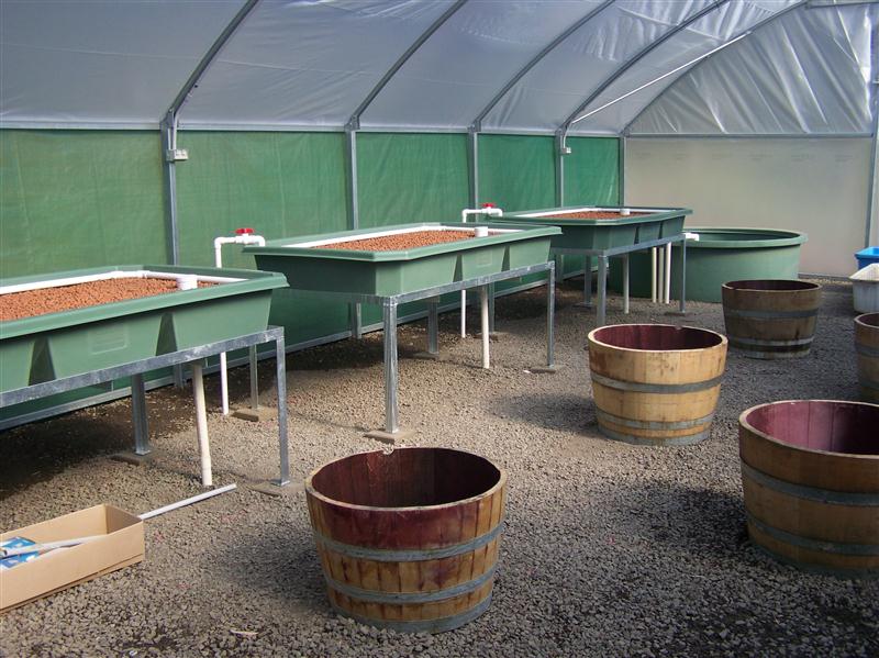 100_6280 (Custom).JPG