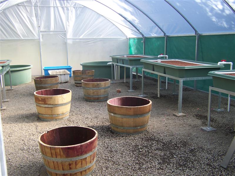 100_6279 (Custom).JPG