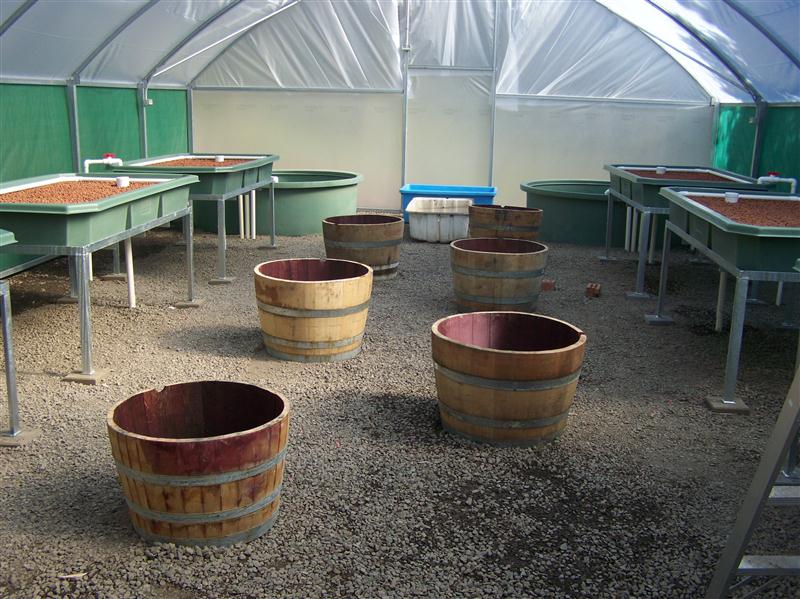 100_6278 (Custom).JPG