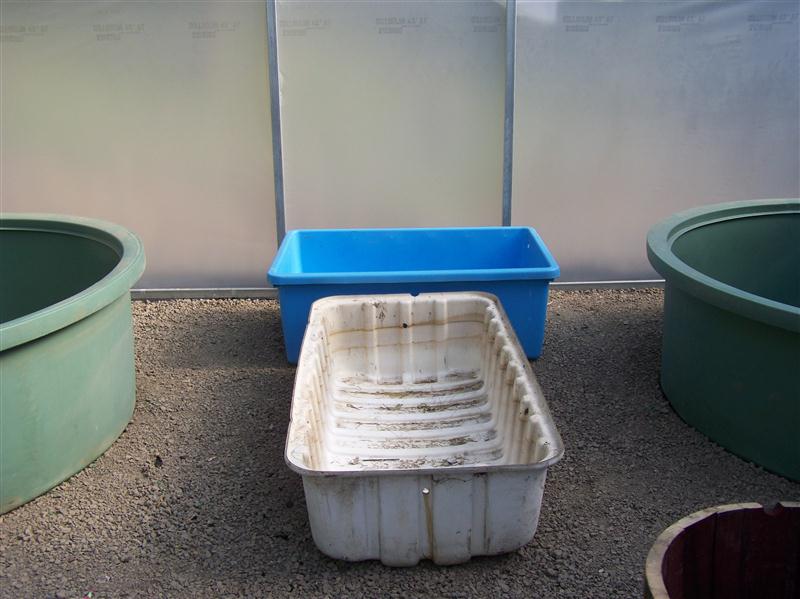 100_6281 (Custom).JPG