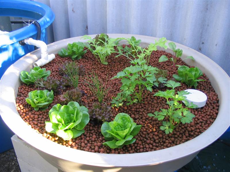 IMG_2121 (Medium).jpg