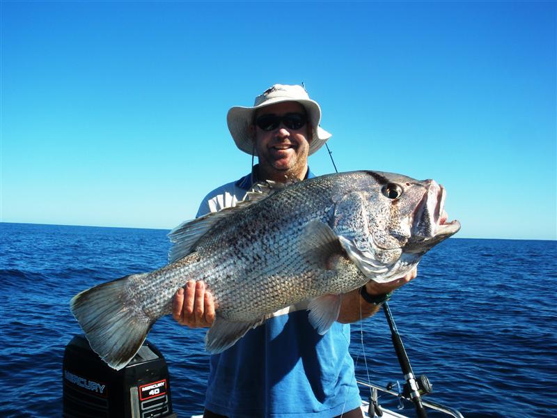 dhu fish (Medium).JPG