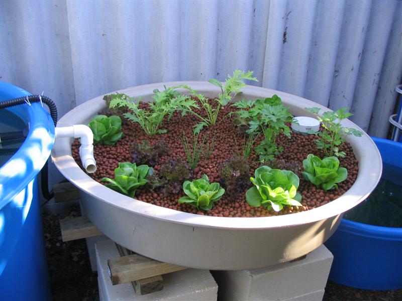 IMG_2120 (Medium).jpg