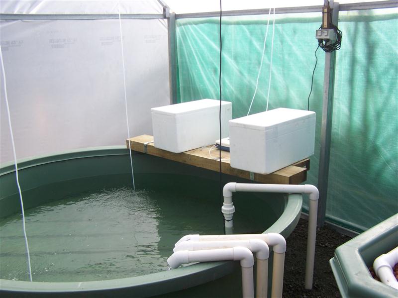 100_6288 (Custom).JPG