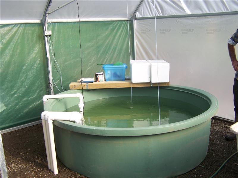 100_6289 (Custom).JPG