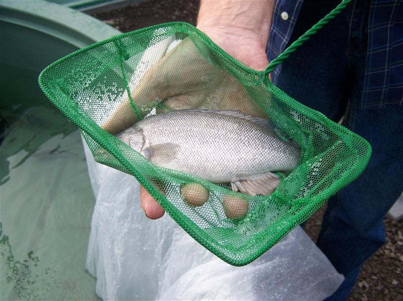 100_6296 (Custom).JPG