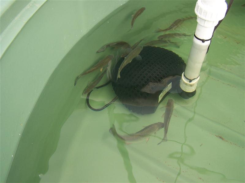 100_6300 (Custom).JPG