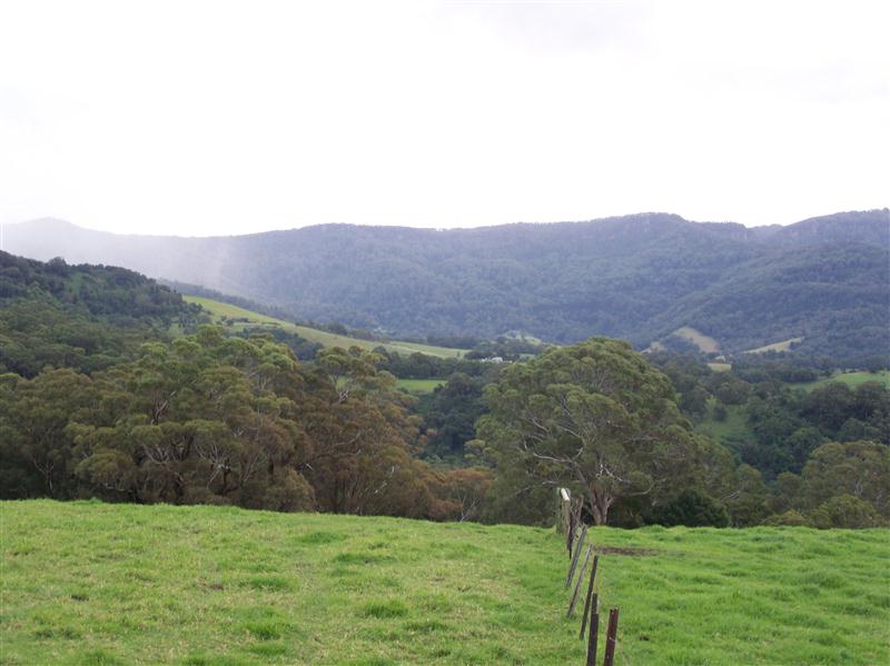 100_6305 (Custom).JPG