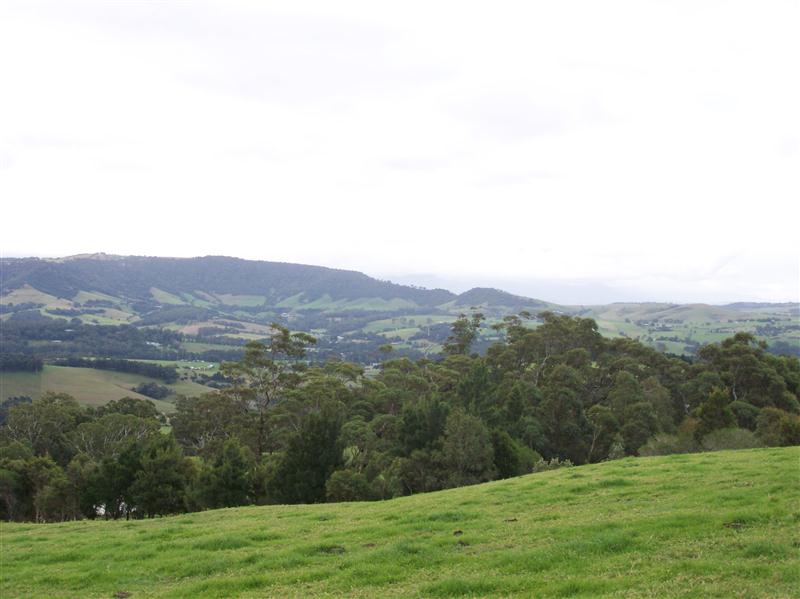 100_6308 (Custom).JPG