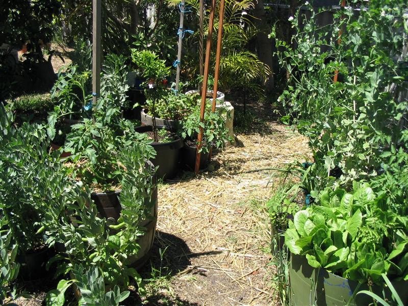 photo_757 (Medium).jpg