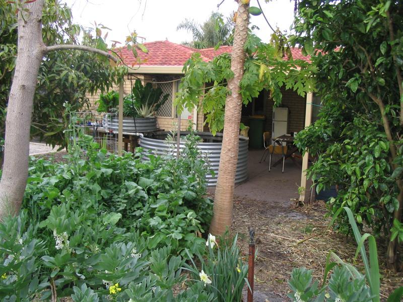 photo_756 (Medium).jpg