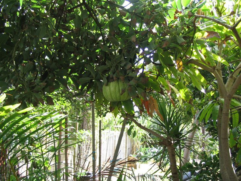 photo_753 (Medium).jpg