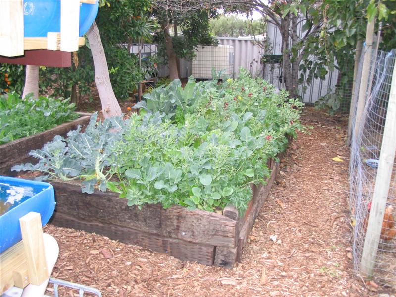 IMG_1864 (Medium).jpg