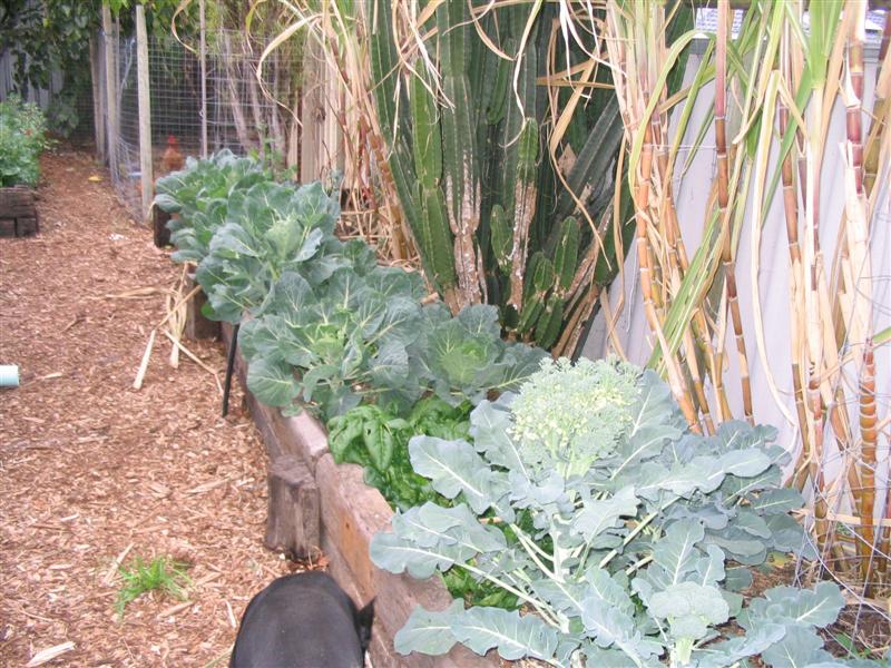 IMG_1863 (Medium).jpg