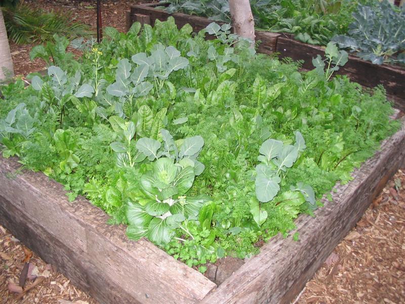 IMG_1859 (Medium).jpg