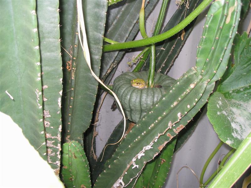 IMG_1634 (Medium).jpg